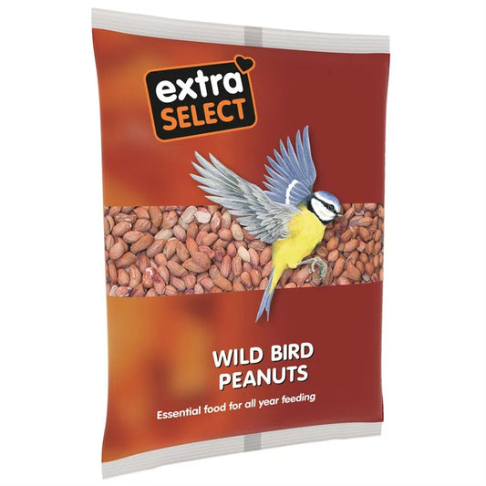 Extra Select Wild Bird Peanuts 1kg