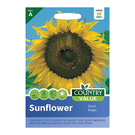 Sunflower Giant Single Seeds, Country Value