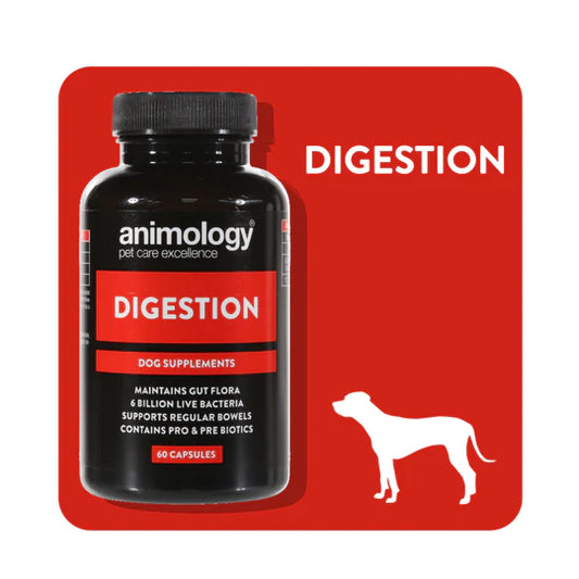 Animology Digestion Supplements