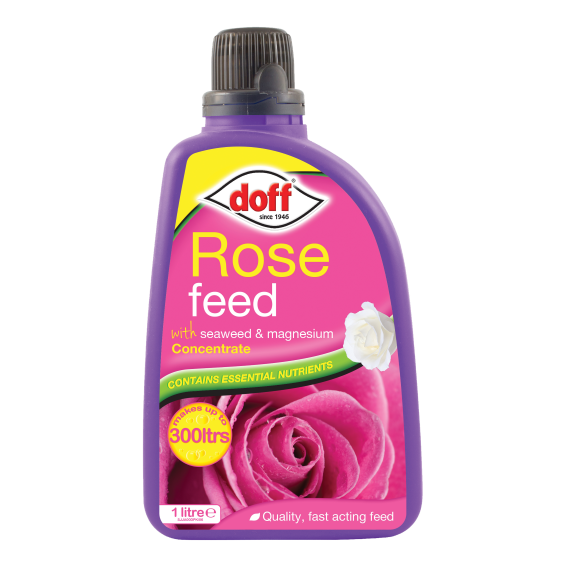 Rose Feed, Doff