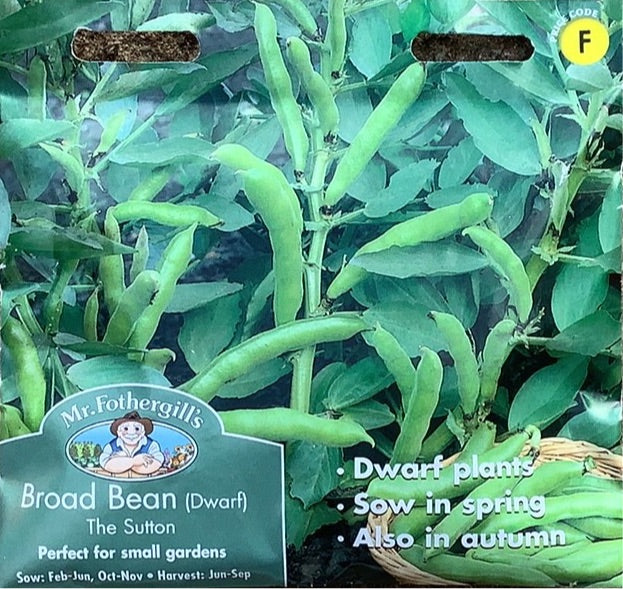 Broad Bean Dwarf The Sutton Mr.Fothergills