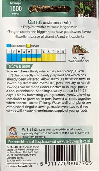 Carrot Amsterdam 2 Solo Mr.Fothergills