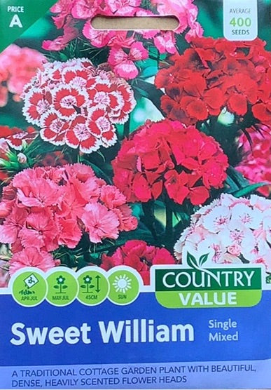 Sweet William Seeds, Country Value