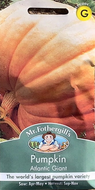 Pumpkin Atlantic Giant, Mr.Fothergills