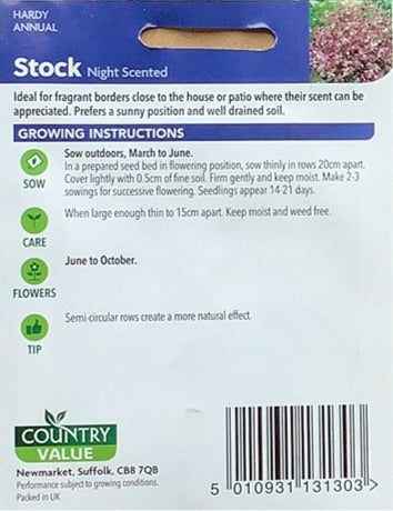 Stock Seeds, Night Scented. Country Value