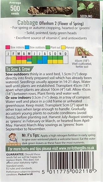 Cabbage Offenham 2 (Flower of Spring) Mr.Fothergills