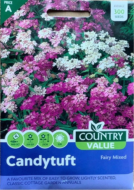 Candytuft Seeds, Country Value