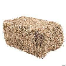 Conventional Bale of Hay